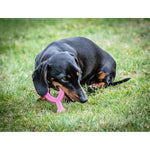 Beißring für Hunde Nylabone WISHBONE Rosa Huhn XS