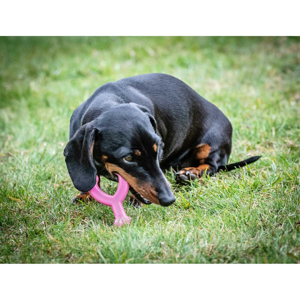Beißring für Hunde Nylabone WISHBONE Rosa Huhn XS