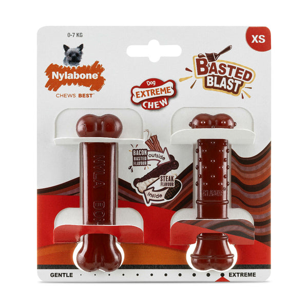 Knochen Nylabone Braun Bacon XS 2 Stück