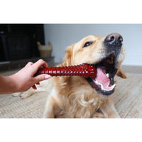 Knochen Nylabone Braun Bacon XL