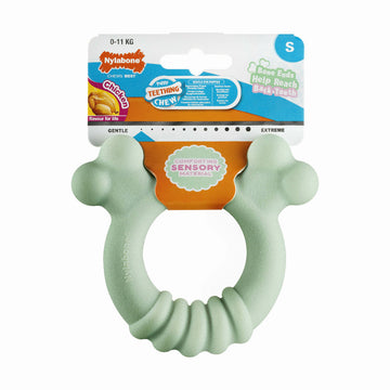 Beißring für Hunde Nylabone SENSORY TACTILE RING grün Kakaobutter Huhn S