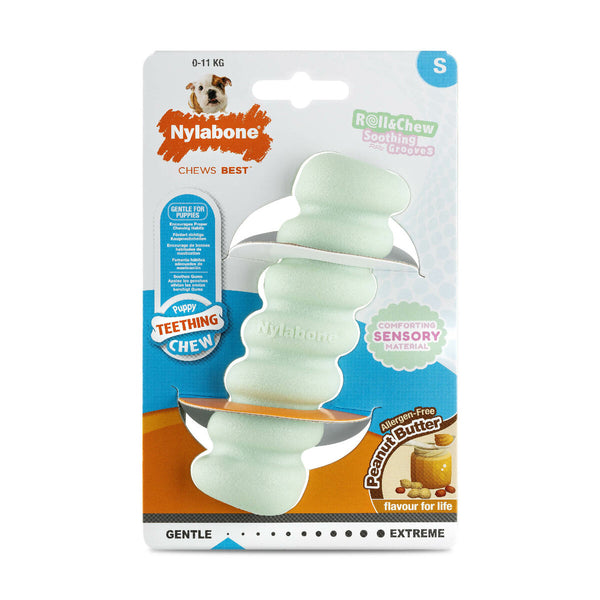 Beißring für Hunde Nylabone SENSORY TACTILE STICK grün Kakaobutter Bacon S
