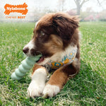 Beißring für Hunde Nylabone SENSORY TACTILE STICK grün Kakaobutter Bacon S