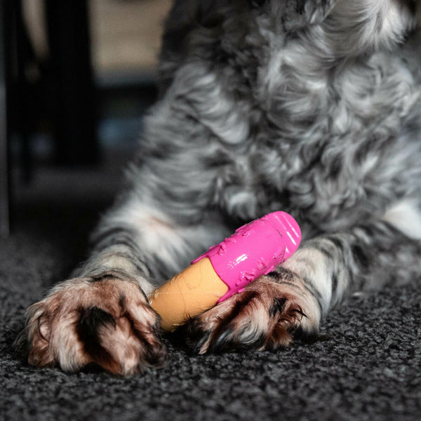 Hundespielzeug Nylabone Rosa Bacon M