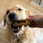 2 in 1 Haustier-Leckerli-Spender Spielzeug Nylabone