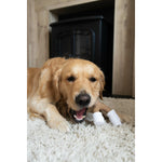 Beißring für Hunde Nylabone Braun Kakaobutter L