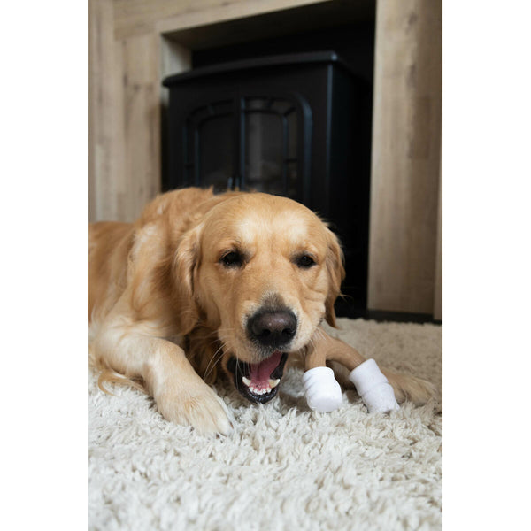 Beißring für Hunde Nylabone Braun Kakaobutter L