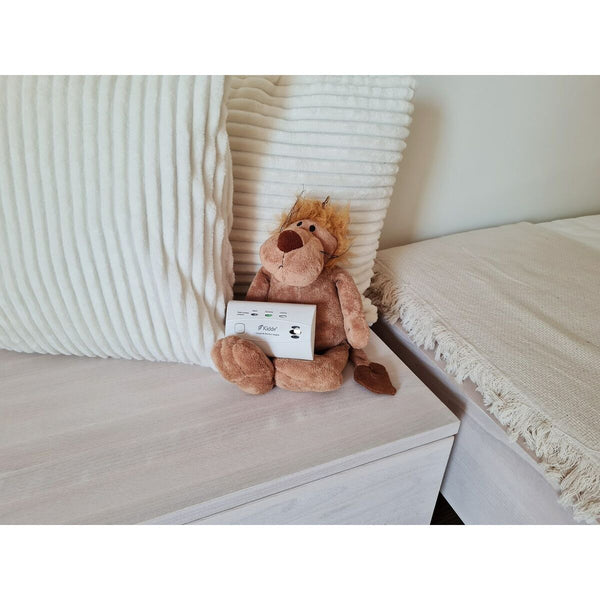 Alarmsystem Kidde K10LLCO