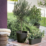 Blumentopf Deroma