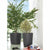 Blumentopf Deroma Millennium R Grau Anthrazit Kunststoff Wiederverwerteter Kunststoff rund Vase