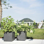 Blumentopf Deroma