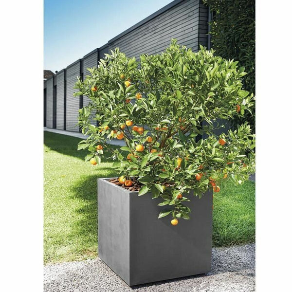 Blumentopf Deroma