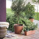 Blumentopf Deroma