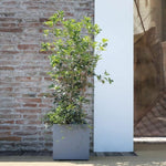 Blumentopf Deroma