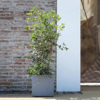 Blumentopf Deroma