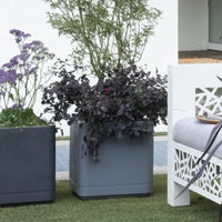 Blumentopf Deroma Grau 38 x 38 x 39 cm Kunststoff karriert Würfel 38 cm