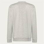Herren Sweater ohne Kapuze Oakley Relax Crew Sweatshirt 2.0 Grau