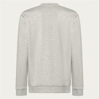 Herren Sweater ohne Kapuze Oakley Relax Crew Sweatshirt 2.0 Grau