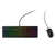Mouse und Tastatur Lenovo km300 Schwarz