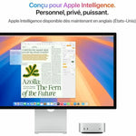 Mini-PC Apple Mac Mini 16 GB RAM 256 GB SSD M4