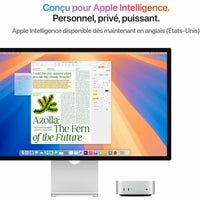 Mini-PC Apple Mac Mini M4 16 GB RAM 512 GB SSD