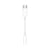 USB Adapter Apple MW2Q3ZM/A