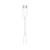 USB Adapter Apple MW2Q3ZM/A