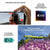 Smartphone Apple iPhone 16 6,1" Hexa Core 8 GB 256 GB grün