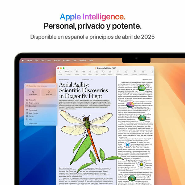 Laptop Apple MW103Y/A 13" M4 16 GB RAM 512 GB SSD