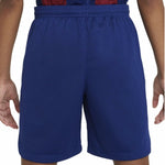 Herren-Sportshorts Nike DX2783