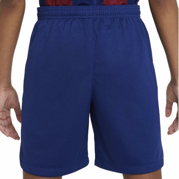Herren-Sportshorts Nike DX2783