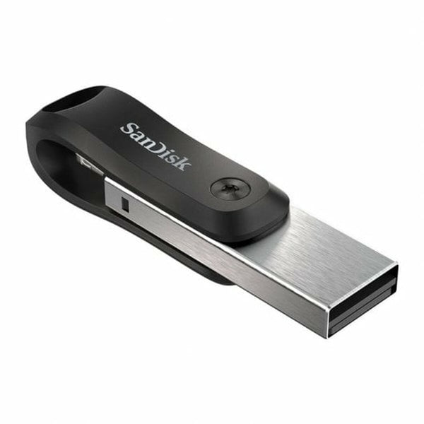 USB Pendrive SanDisk SDIX60N-256G-GN6NE Schwarz Silberfarben 256 GB