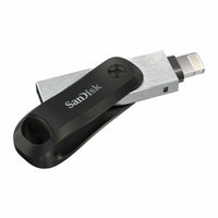 USB Pendrive SanDisk SDIX60N-256G-GN6NE Grau 256 GB