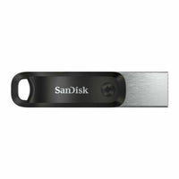 USB Pendrive SanDisk SDIX60N-256G-GN6NE Grau 256 GB