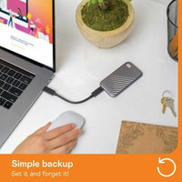 Externe Festplatte SanDisk WDBAGF0010BGY-WESN 1 TB SSD