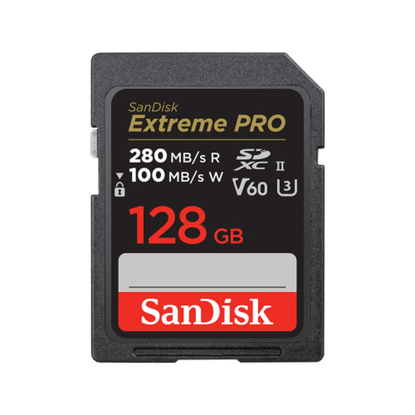 SD Speicherkarte SanDisk SDSDXEP-128G-GN4IN 128 GB