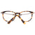 Brillenfassung WEB EYEWEAR WE5246 52053