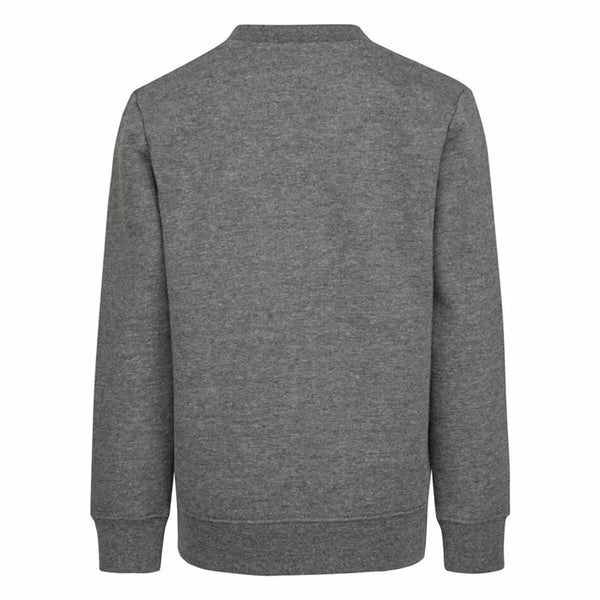Jungen Sweater ohne Kapuze Nike Grau
