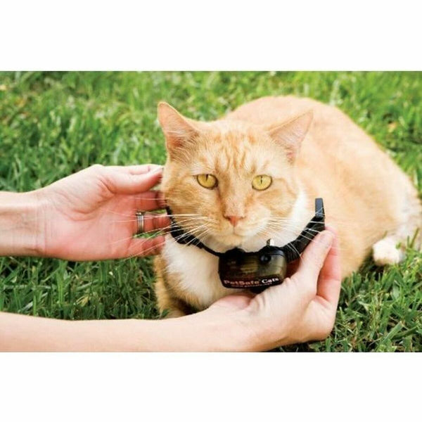 Katzenhalsband PetSafe Prf-3004xw-20