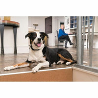 Anti-Bell-Halsband PetSafe Blau