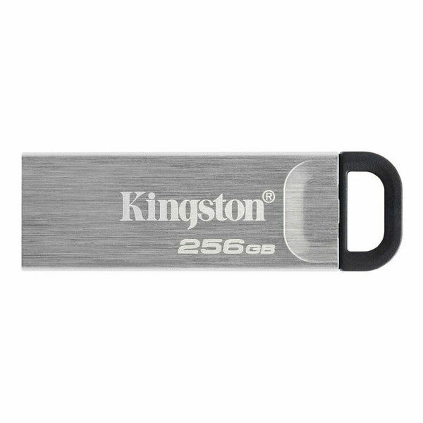 USB Pendrive Kingston Schwarz 256 GB