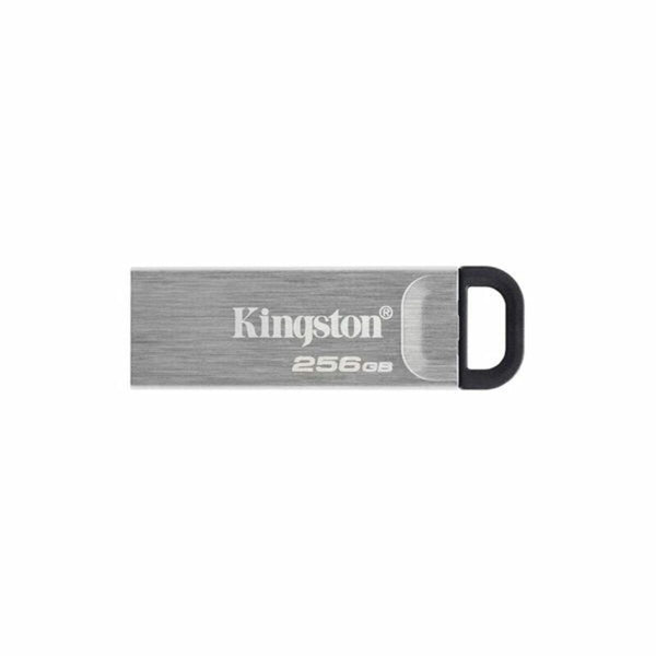 USB Pendrive Kingston DTKN/256GB USB 3.2 Silberfarben 256 GB