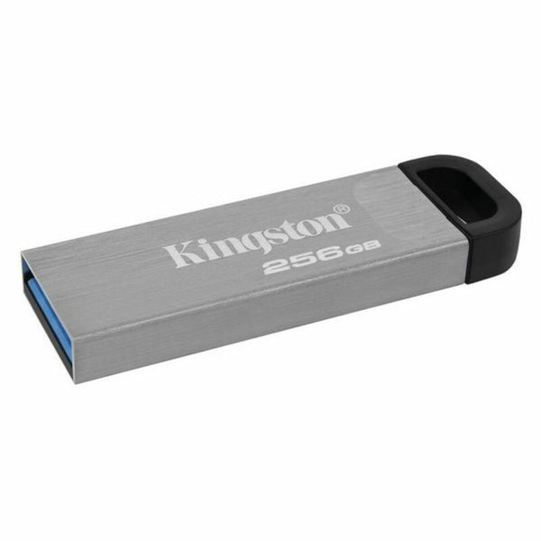 USB Pendrive Kingston DTKN/256GB USB 3.2 Silberfarben 256 GB