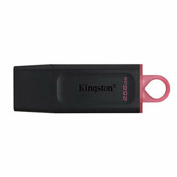 USB Pendrive Kingston DTX/256GB Schlüsselanhänger Schwarz 256 GB