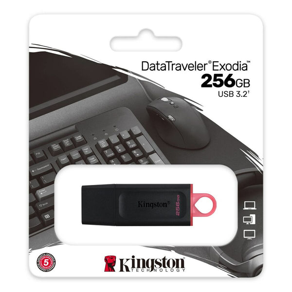 USB Pendrive Kingston Exodia Schwarz 256 GB (1 Stück)