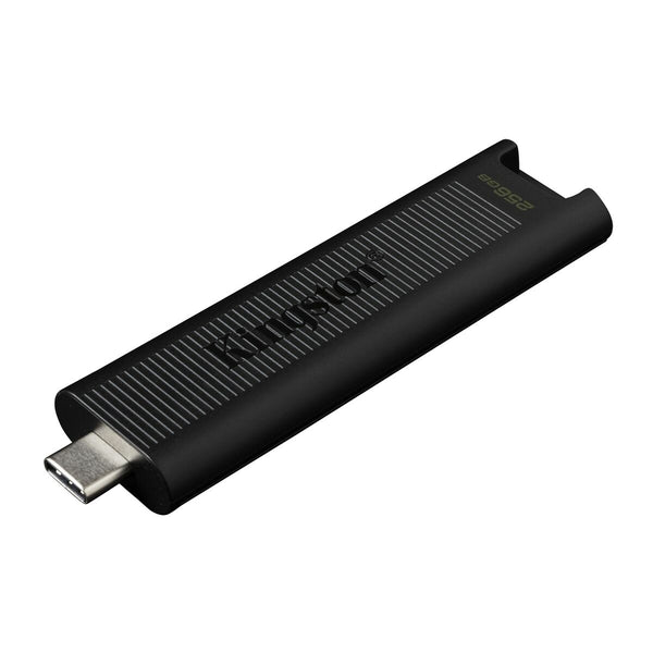 USB Pendrive Kingston DTMAX/256GB Schwarz 256 GB (1 Stück)