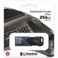 USB Pendrive Kingston DTXON/256GB Schwarz 256 GB (1 Stück)