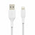 USB auf Lightning Verbindungskabel Belkin CAA002BT0MWH Weiß 15 cm (1 Stück)