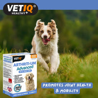 Nahrungsergänzungsmittel und Vitamine Mark & Chappell VETIQ ARTHRITI-UM ADVANCED
