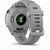 Smartwatch GARMIN 010-02641-12 Grau